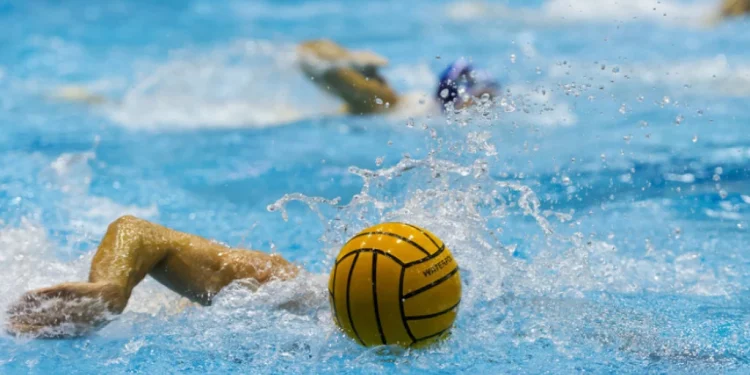 Foto: Shutterstock.com/BrunoRosa