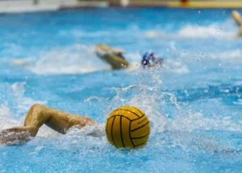 Foto: Shutterstock.com/BrunoRosa