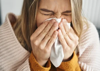 Foto: Shutterstock.com/gpointstudio