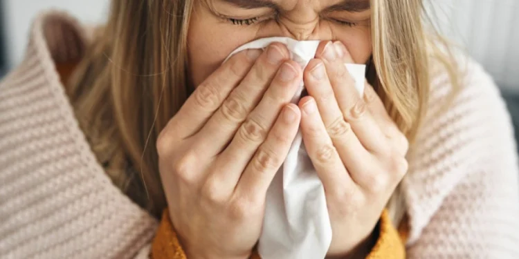 Foto: Shutterstock.com/gpointstudio