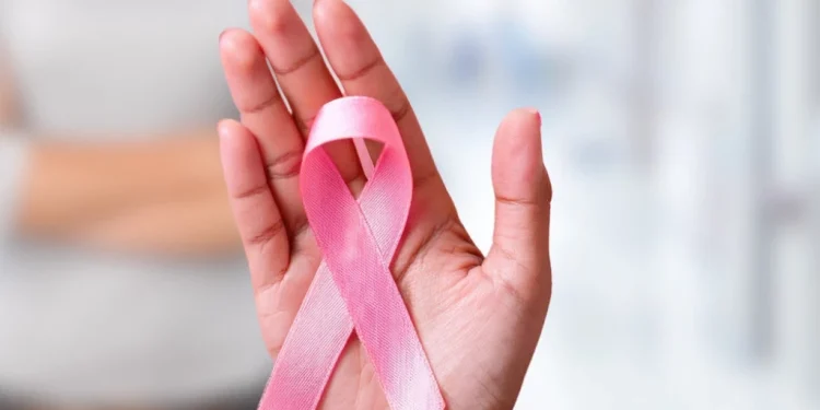 Foto: Shutterstock.com/CaptureStock Studio, ilustracija