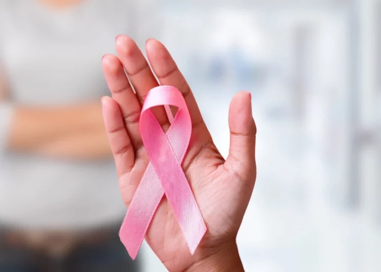 Foto: Shutterstock.com/CaptureStock Studio, ilustracija