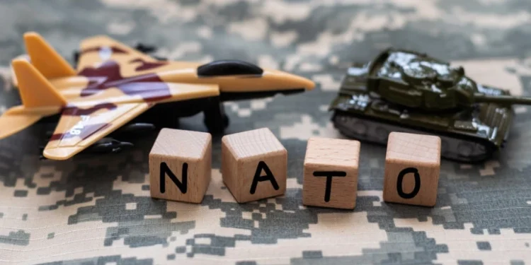 Foto: Shutterstock.com/Andrew Angelov, ilustracija