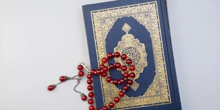 Foto: Shutterstock.com/Hemin Xylan, ilustracija