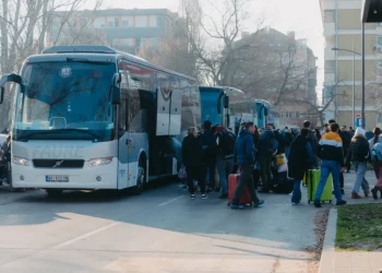 Foto: TANJUG/Vlada AP Vojvodine/ Miljan Bosnić