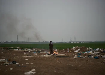 Foto: AP Photo/Leo Correa