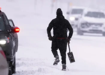 Foto: Minnesota Star Tribune via AP/Jerry Holt