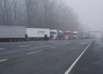 Foto: TANJUG/Privredna komora Srbije/ Boban Ristić