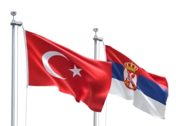 Foto: Shutterstock.com/FreshStock, ilustracija