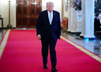 Foto: AP Photo/Julia Demaree Nikhinson