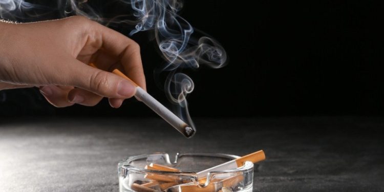 Foto: shutterstock.com/New Africa, ilustracija