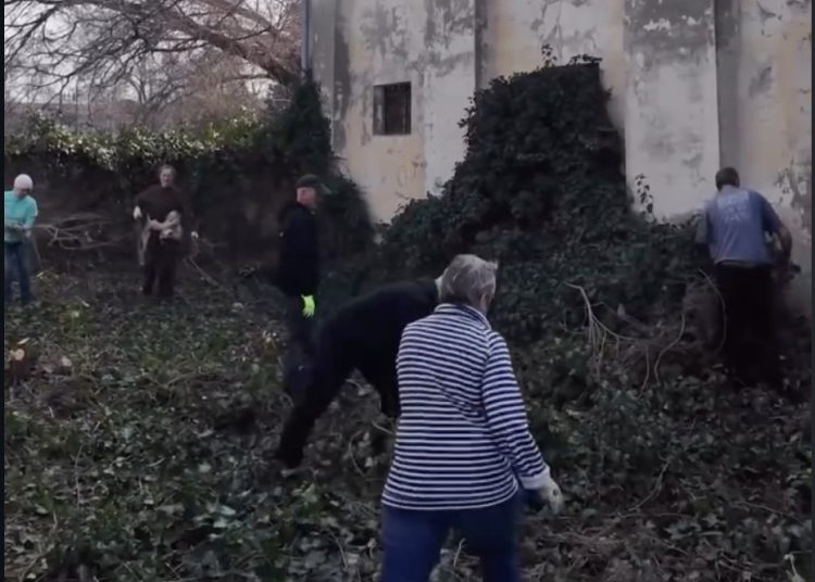 Akcija uređenja dvorca