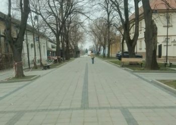 FOTO: BAČKI PETROVAC INFO