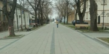 FOTO: BAČKI PETROVAC INFO