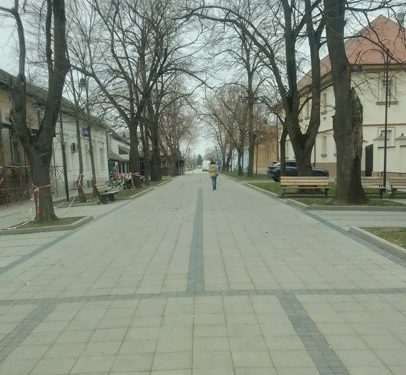 FOTO: BAČKI PETROVAC INFO