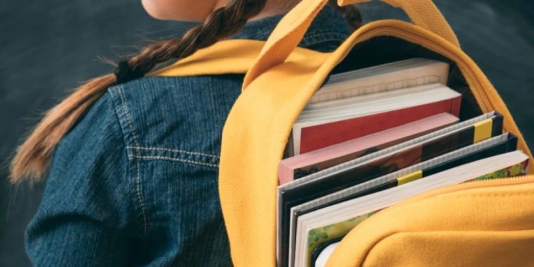 Foto: Shutterstock.com/Golubovy, ilustracija