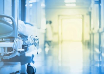 Foto: Shutterstock.com/sfam_photo, ilustracija