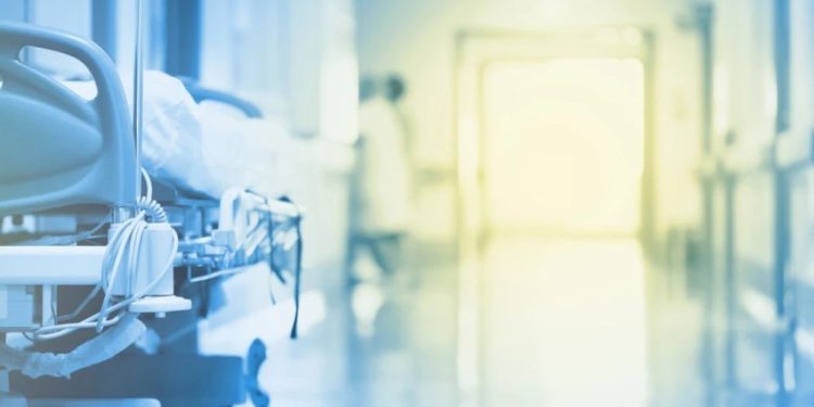 Foto: Shutterstock.com/sfam_photo, ilustracija