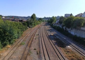 Foto: TANJUG/JELENA SAVIĆ