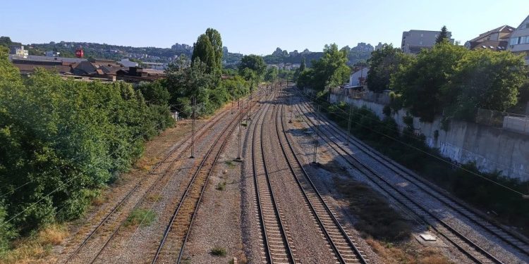 Foto: TANJUG/JELENA SAVIĆ