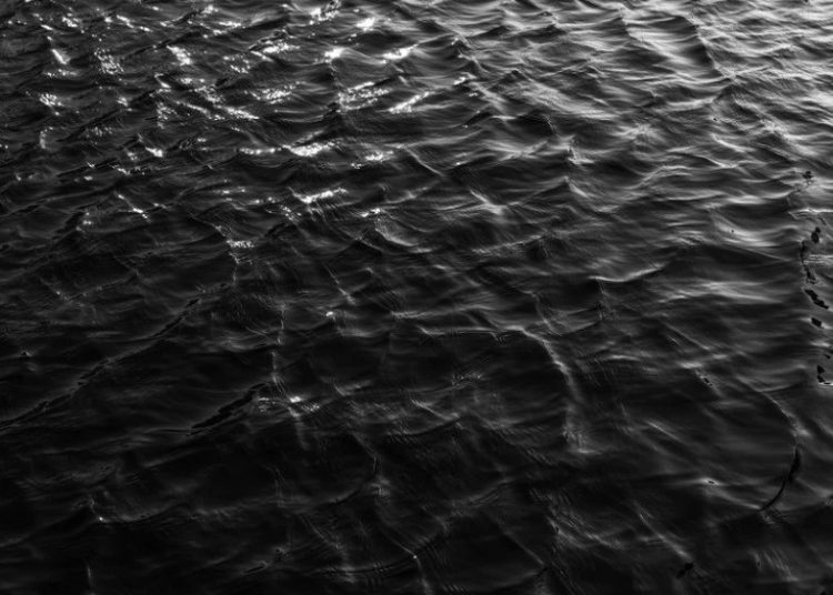 Foto: Shutterstock.com/Vicky_007Art/Ilustracija