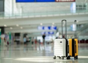 Foto: Shutterstock.com/Kingmaya Studio/Ilustracija