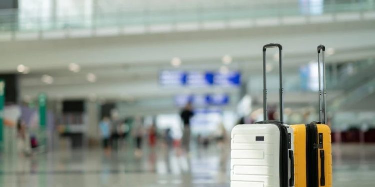 Foto: Shutterstock.com/Kingmaya Studio/Ilustracija