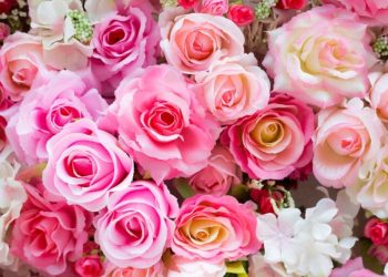 Foto: Shutterstock.com/ Mr.Boy, ilustracija