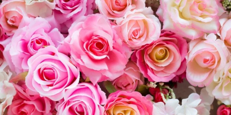 Foto: Shutterstock.com/ Mr.Boy, ilustracija