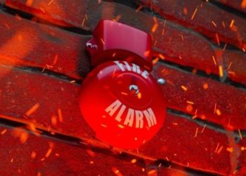 Foto: Shutterstock.com/Dabarti CGI, ilustracija