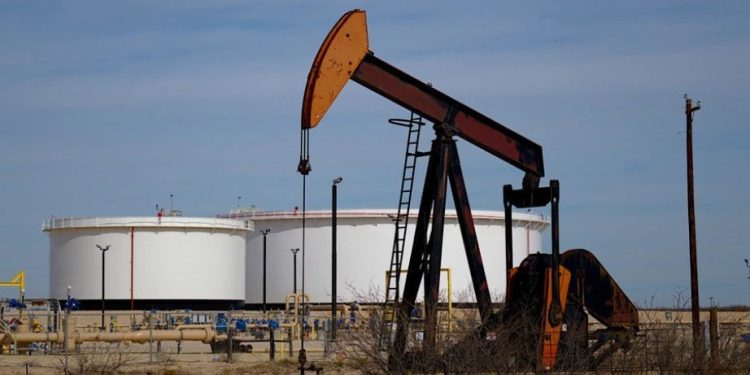 Foto: Shutterstock.com/Sean Hannon acritelyphoto, ilustracija