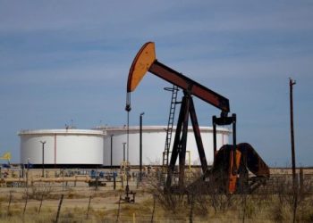 Foto: Shutterstock.com/Sean Hannon acritelyphoto, ilustracija