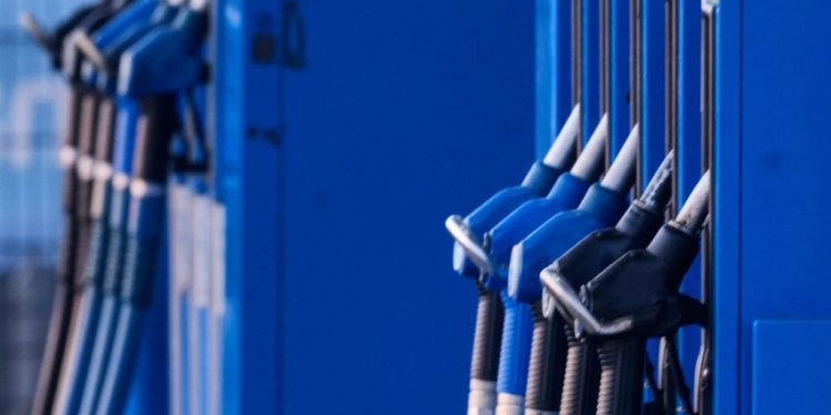 Foto: AP Photo/Michael Probst