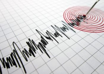 Foto: Shutterstock.com/menur, ilustracija