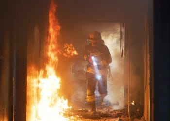 Foto: Shutterstock.com/Frame Stock Footage, ilustracija