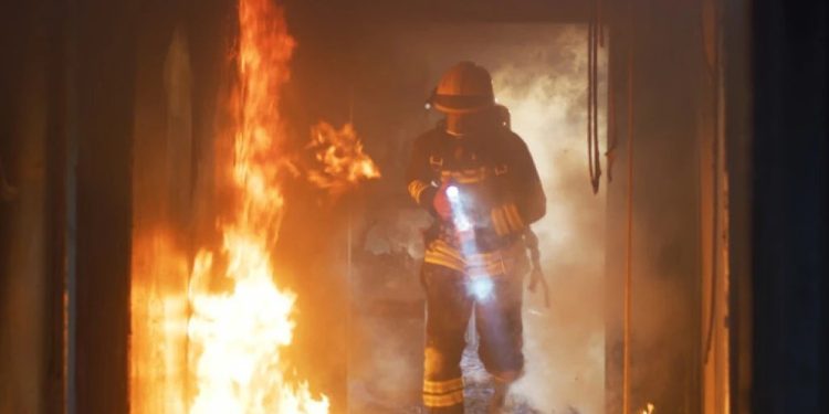 Foto: Shutterstock.com/Frame Stock Footage, ilustracija