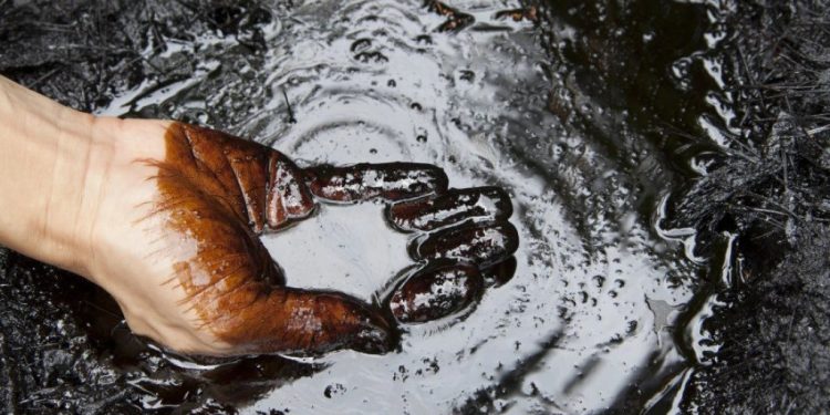 Foto: Shutterstock.com/Alexander Knyazhinsky