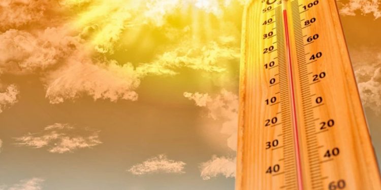 Foto: shutterstock.com/Boxyray, ilustracija