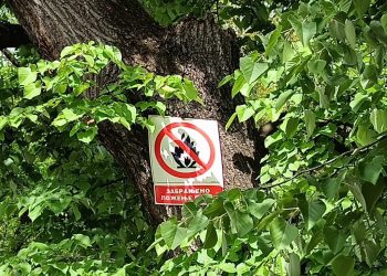 Foto: TANJUG/JELENA SAVIĆ