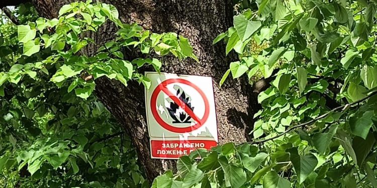 Foto: TANJUG/JELENA SAVIĆ