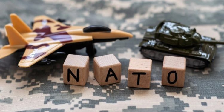 Foto: Shutterstock.com/Andrew Angelov, ilustracija