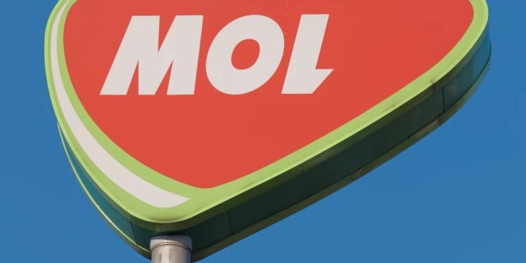 Foto: Shutterstock.com/Toni Genes/Arhiva