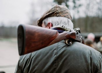 Foto: Shutterstock.com/Mikkel H. Petersen, ilustracija