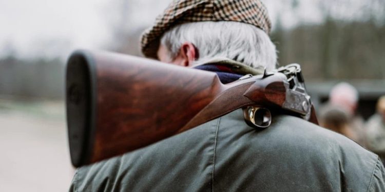 Foto: Shutterstock.com/Mikkel H. Petersen, ilustracija