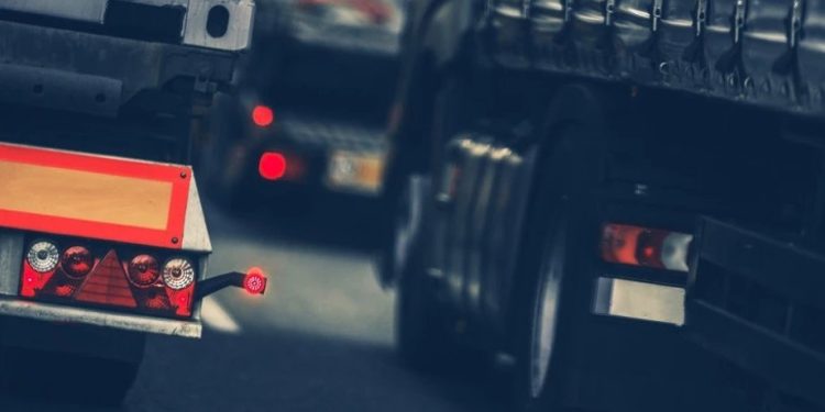 Foto: Shutterstock.com/Virrage Images, ilustracija