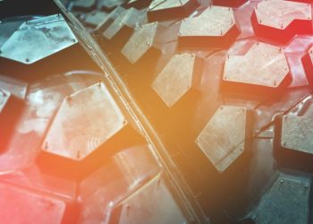 Foto: Shutterstock.com/Maksim Safaniuk