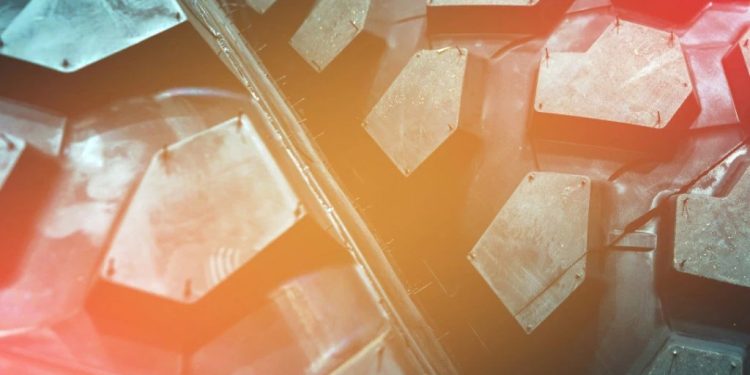 Foto: Shutterstock.com/Maksim Safaniuk