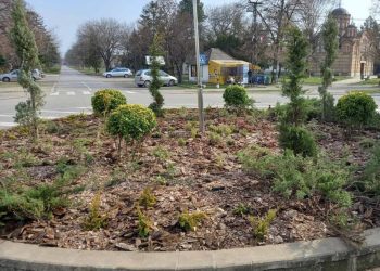 FOTO: BACKI PETROVAC INFO