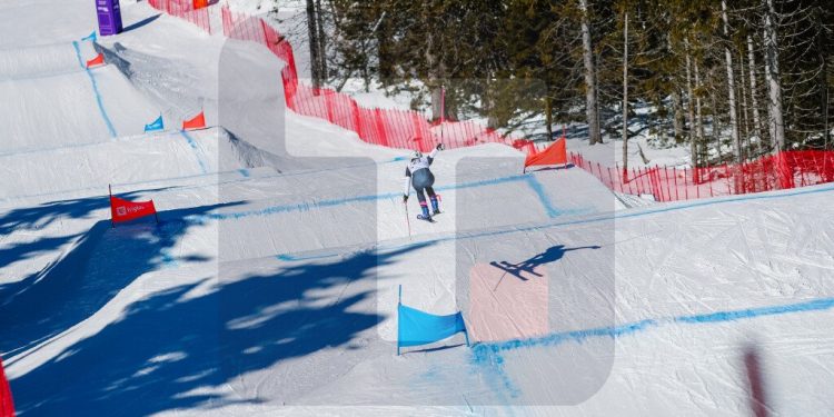 Foto: Tanjug Lazar Novakovic