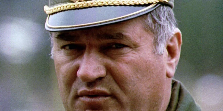 Foto: Shutterstock.com/Northfoto, arhiva